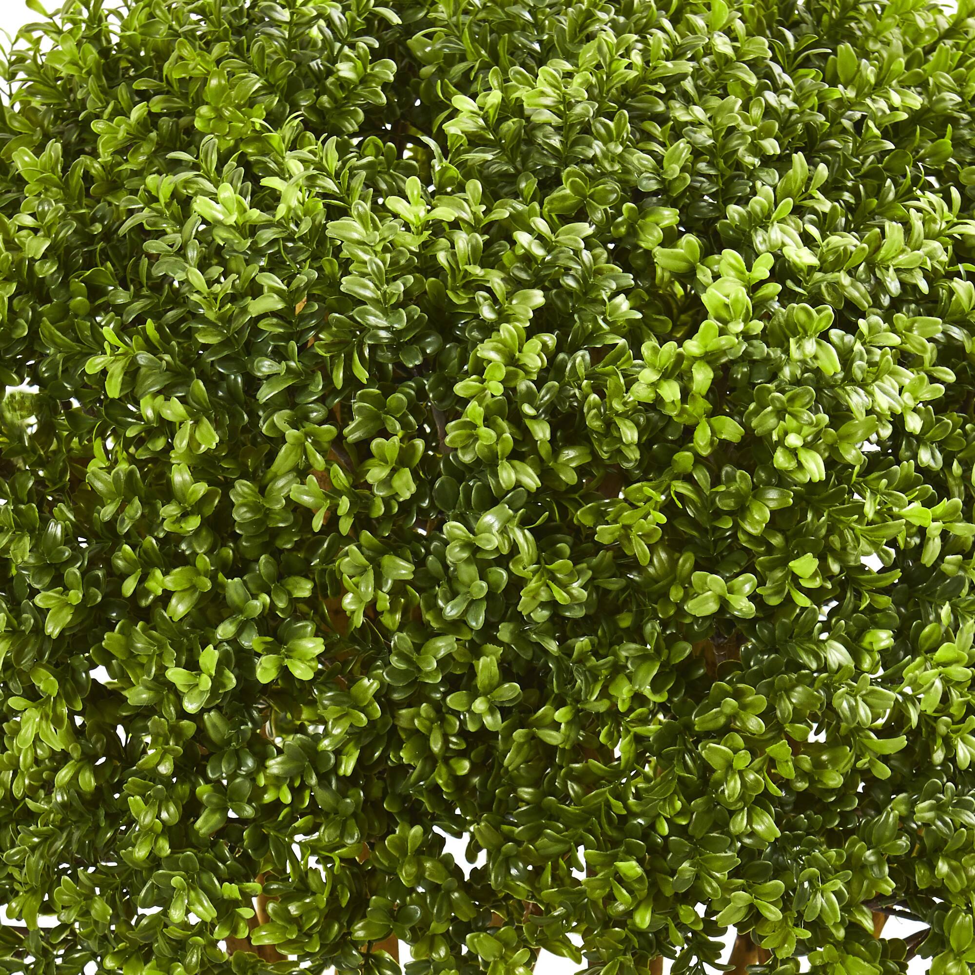 3ft. Potted Boxwood Topiary Tree